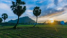 Begin your visa-prepared day with Vietnam’s tranquil ambiance